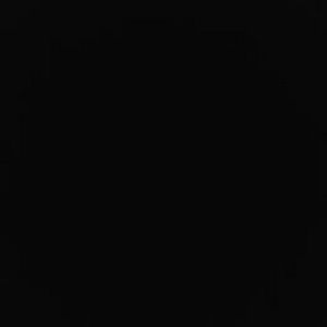 Meet your Posher, Kyra